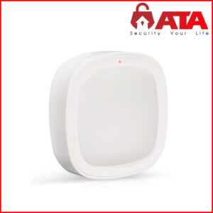 Smart Motion Sensor